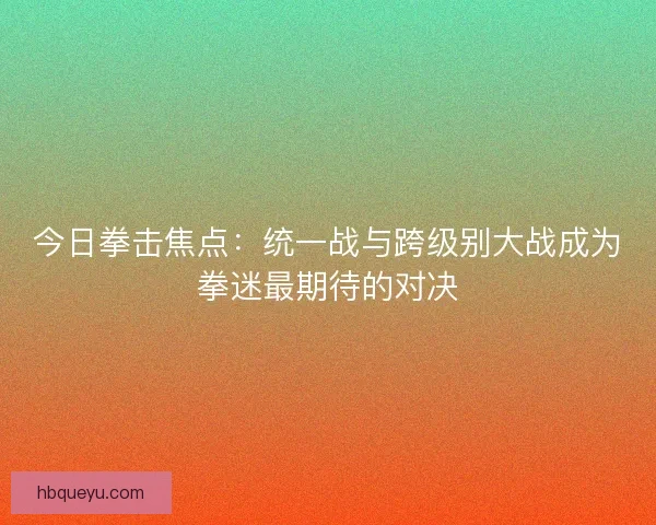 今日拳击焦点：统一战与跨级别大战成为拳迷最期待的对决